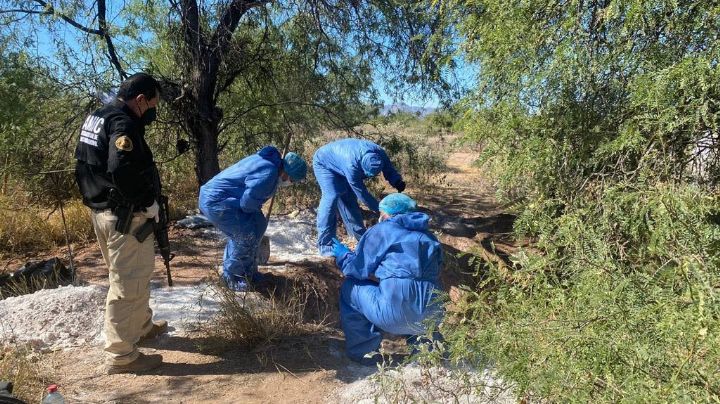 FGJ-Sonora inicia pruebas de ADN para identificar restos óseos hallados en Hermosillo y Guaymas
