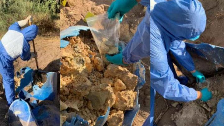 Confirma FGJE que no hay restos humanos en tambos encontrados por colectivo en Etchojoa