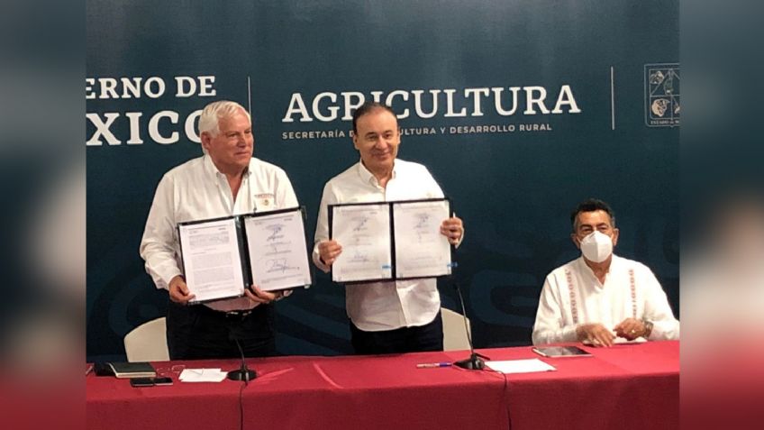 Titular de la Sader no da detalles de su estancia permanente en Cajeme; se limitó a dar nombres