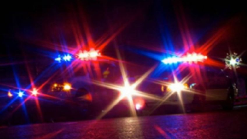 Navojoa: Camión cargado de cerdos se vuelca en la carretera México 15; chófer huye