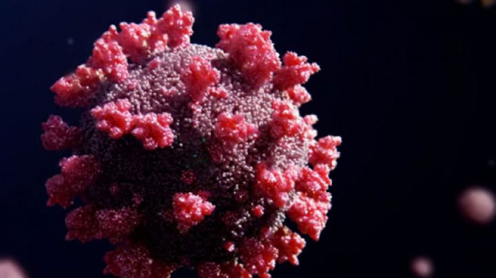 Variante Ómicron de Covid-19 infectará a casi todo el mundo, asegura Anthony Fauci