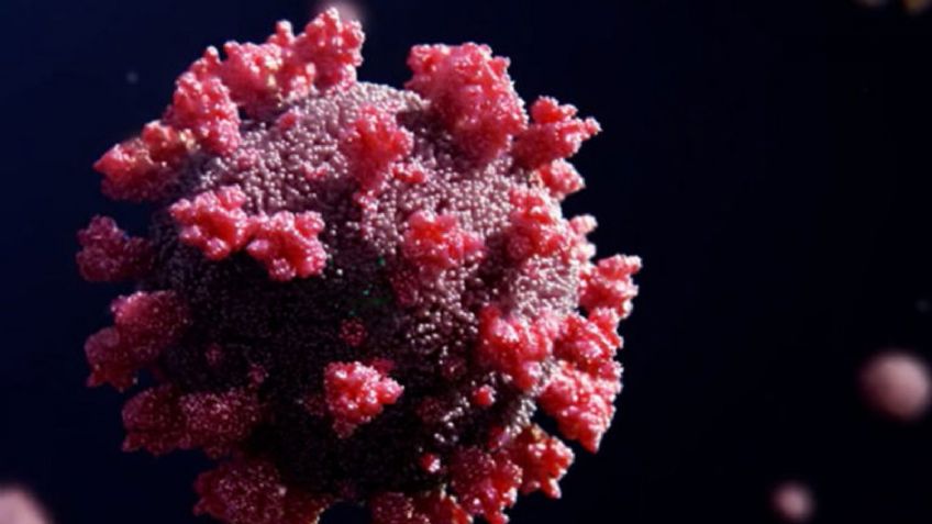 Variante Ómicron de Covid-19 infectará a casi todo el mundo, asegura Anthony Fauci