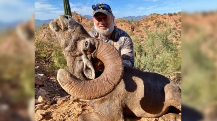 Rey de Malasia visita Sonora para cazar a borrego cimarrón; pagó 100 mil dólares