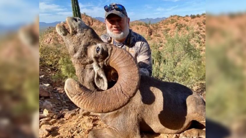 Rey de Malasia visita Sonora para cazar a borrego cimarrón; pagó 100 mil dólares