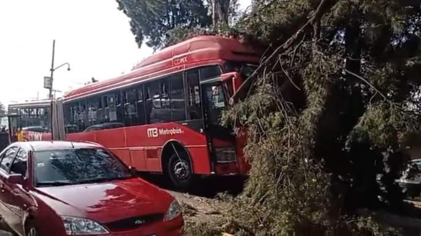 Accidente  en el Metrobús causa terror en CDMX y moviliza autoridades; registran 8 víctimas