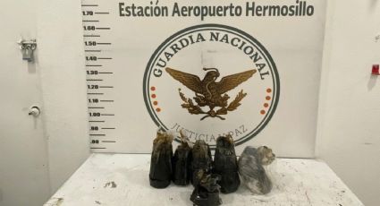 Viajaba a Veracruz: Aseguran gran cargamento de droga en el aeropuerto de Hermosillo