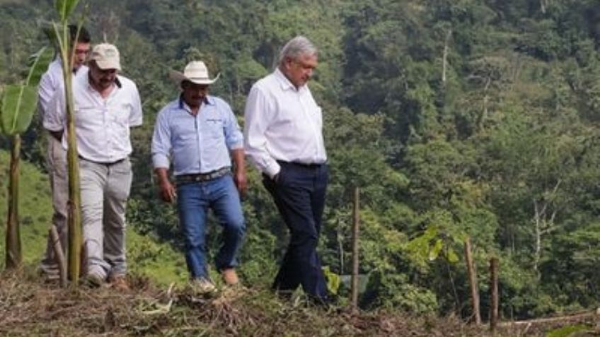 La 4T de AMLO mostraría carencias respecto al cuidado del medio ambiente en la COP26