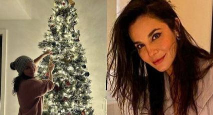 Acosan a Martha Higareda tras compartir FOTOS de su árbol de Navidad: "Me quedé babeando"