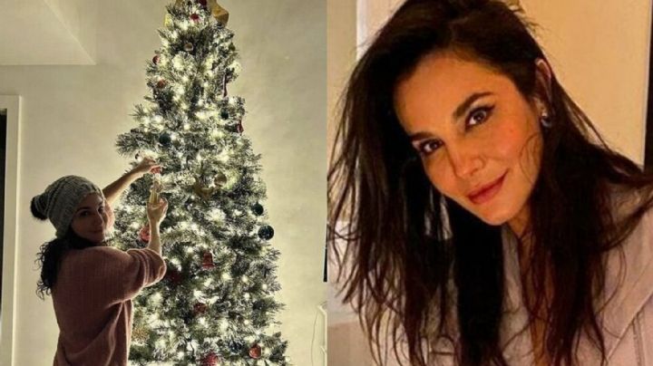 Acosan a Martha Higareda tras compartir FOTOS de su árbol de Navidad: "Me quedé babeando"