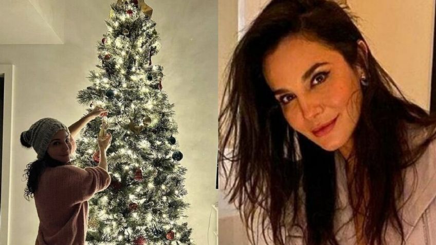 Acosan a Martha Higareda tras compartir FOTOS de su árbol de Navidad: "Me quedé babeando"