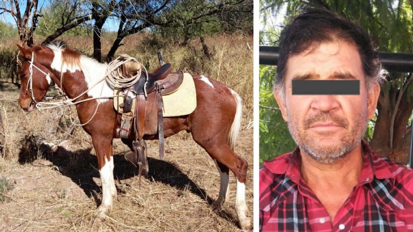 Cae sujeto que cabalgaba caballo robado en Hermosillo; lo extrajo de ejido días antes