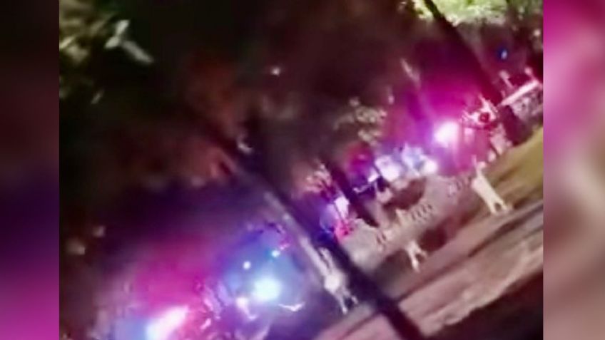 En medio de un jardín, joven es asesinado a balazos; le dispararon en cinco ocasiones