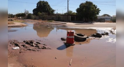 Drenajes colapsados, la gran deuda pendiente de Oomapas con los habitantes de Cajeme