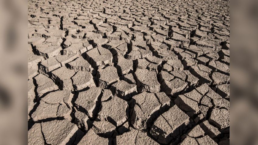 Cajeme está en grado severo por sequía, reporta monitor de Conagua; afectaría siembras