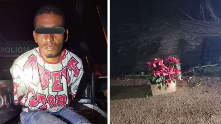 Quiso llevarse flores de nochebuena de un vivero en Hermosillo, pero es atrapado