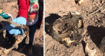 A un mes del hallazgo, Fiscalía de Sonora analiza restos de 25 personas ubicadas en fosas