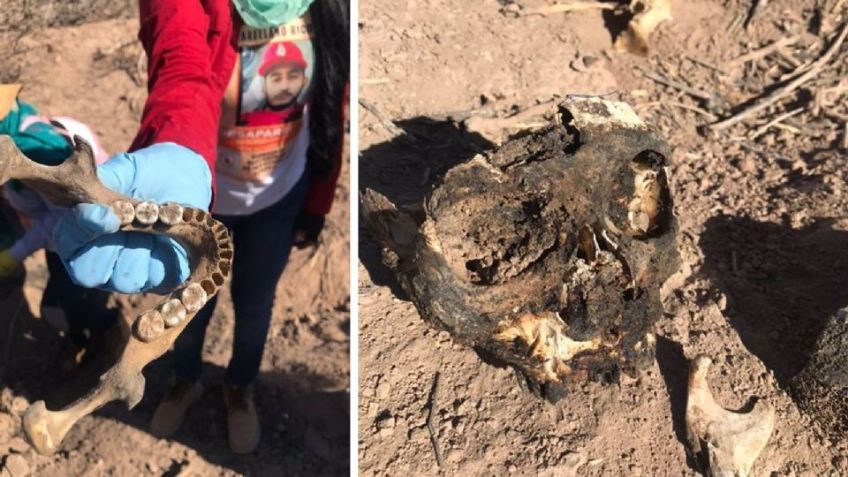 A un mes del hallazgo, Fiscalía de Sonora analiza restos de 25 personas ubicadas en fosas