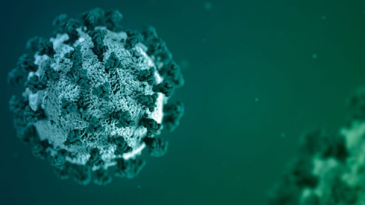 Semáforo epidemiológico México: Sonora y cuatro estados más en amarillo, el resto en verde