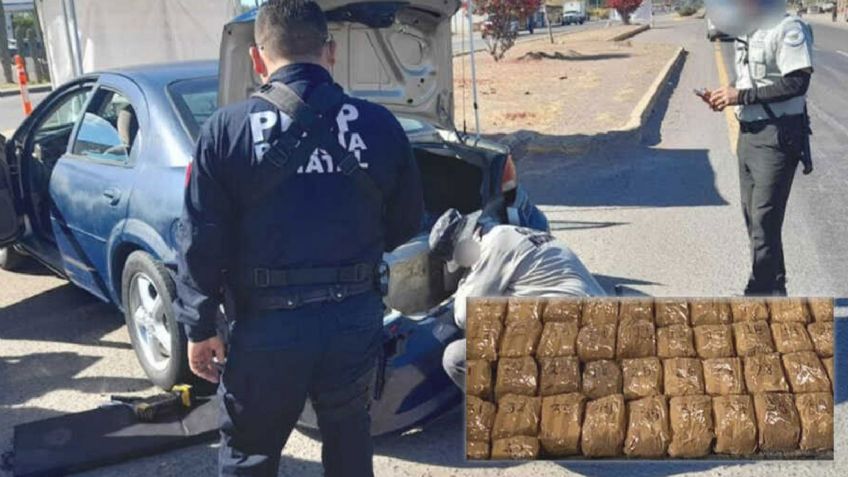 Ramón y Blanca son aprehendidos en Vícam por ocultar dosis de narcótico en su vehículo