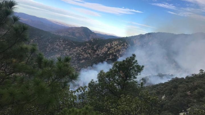 Incendio afecta la sierra alta de Aconchi; autoridades trabajan en el "Cajón del Infierno"