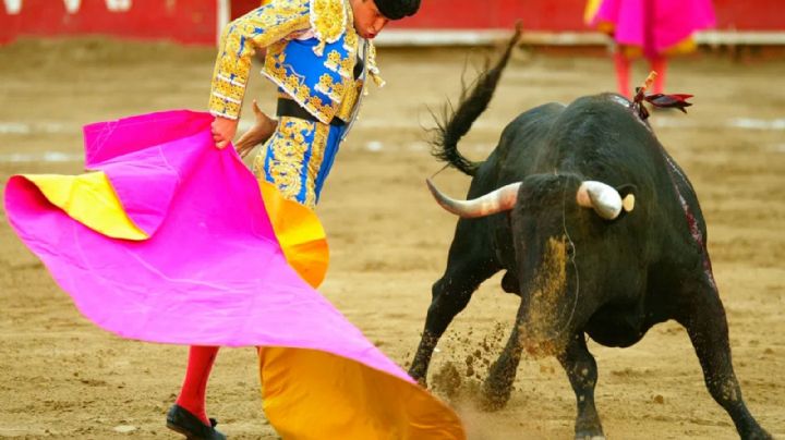 Juez ordena suspender corridas de toros en Plaza México; autoridades pueden impugnar