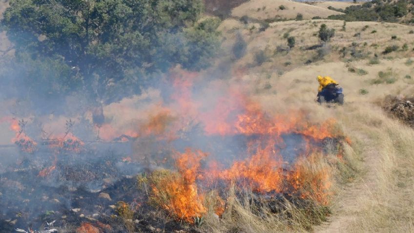 En medio de incendio forestal de Aconchi, surge otro en Álamos; van 31 hectáreas afectadas
