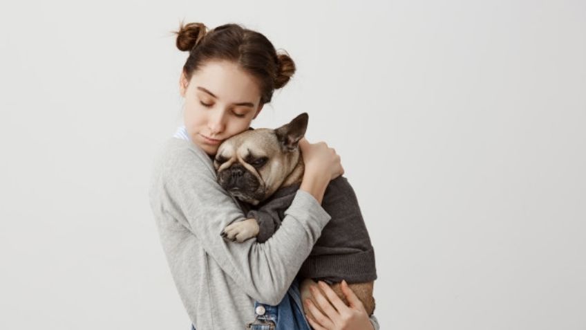 ¿Tienes mascota en casa? Evita que su pelo se quede en tu ropa con estos trucos