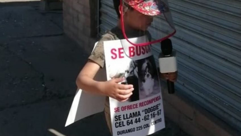 José Antonio, niño Cajemense pide ayuda para encontrar a su mascota 'Doggie'