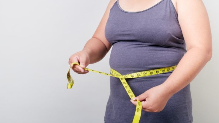 Expertos descubren mecanismo del cerebro que ayudaría a tratar la obesidad