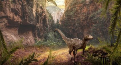 ¡Impactante hallazgo! Encuentran restos de nueva especie de dinosaurios en Argentina