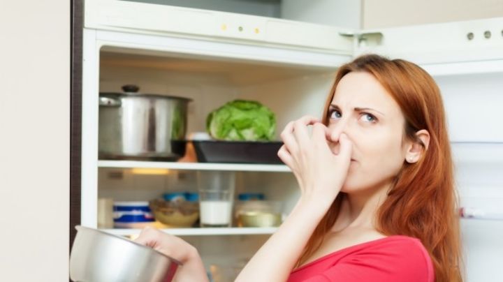 ¡No más olor a refrigerador! Libérate de los malos aromas con estos sencillos trucos
