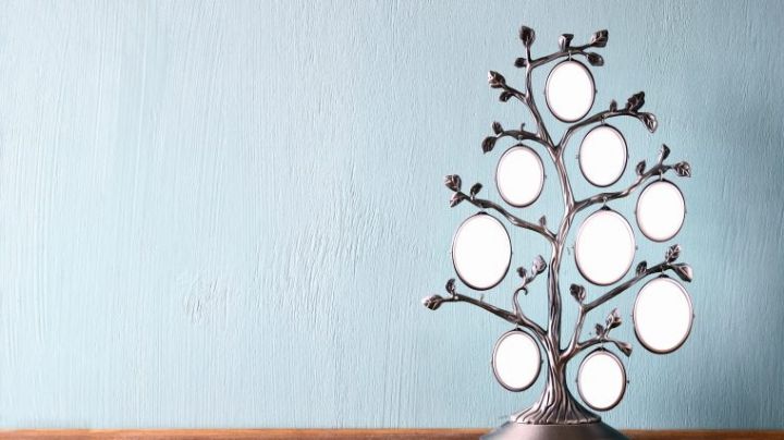 ¿Quieres conocer tu historia? Esta es la utilidad de hacer un árbol genealógico