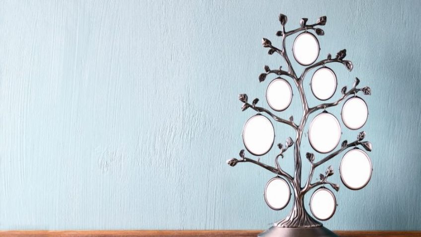 ¿Quieres conocer tu historia? Esta es la utilidad de hacer un árbol genealógico