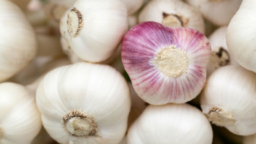 Hipertensión, Alzhéimer y más: El ajo ayudaría a prevenir enfermedades peligrosas