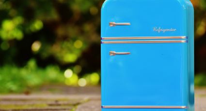 ¿Estás por comprar un refrigerador? Descubre cuáles son las características que debe tener