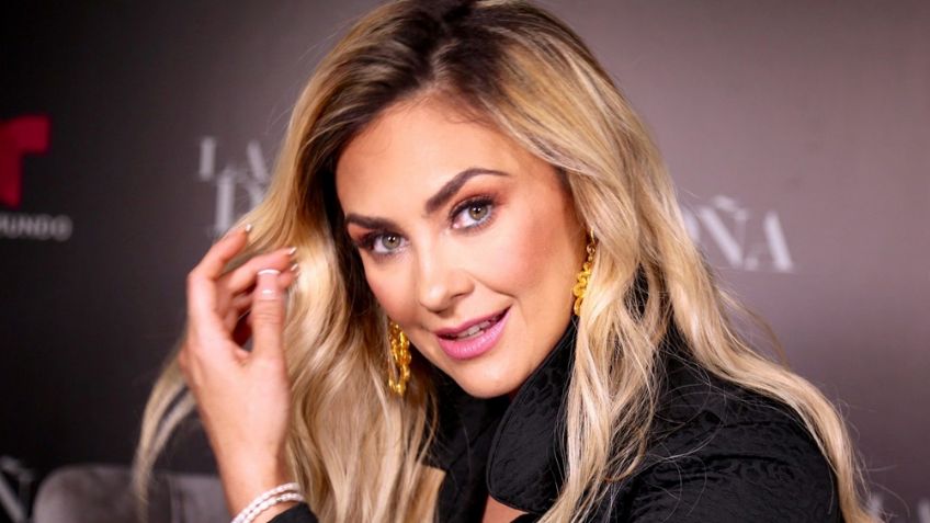 Aracely Arámbula ya superó a Luis Miguel: La actriz crea controversia con polémico VIDEO
