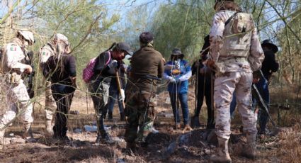 Nuevo hallazgo de las Rastreadoras de Obregón: Encuentran tres cuerpos en fosas