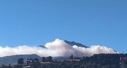 ¡En llamas! No paran incendios en el Nevado de Toluca por fuertes ráfagas de viento