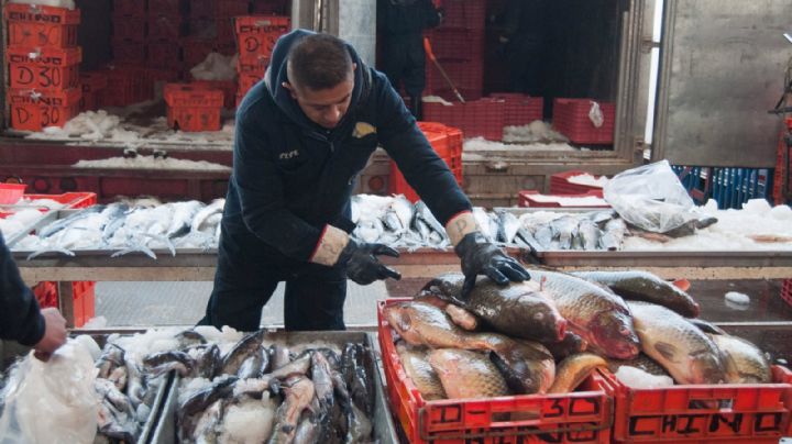 Sader y Conapesca garantizan abasto de peces y mariscos para cuaresma