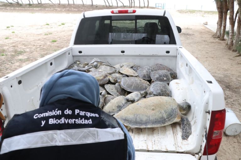 Twitter @ComisionParques