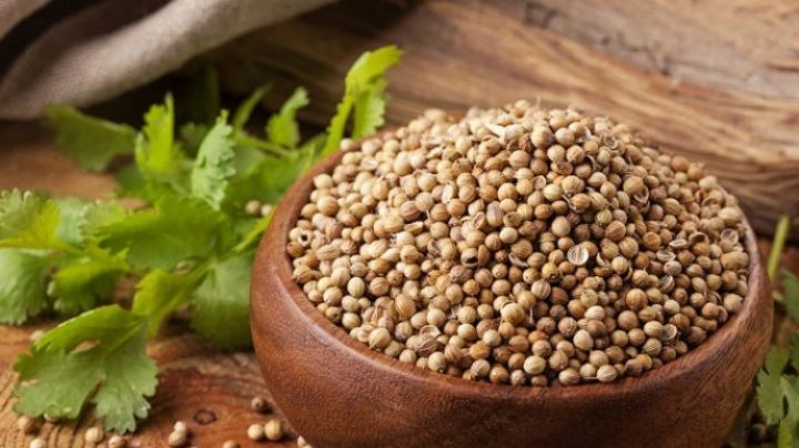 ¿Sufres de indigestión? Despídete de este malestar con un té de semillas de cilantro