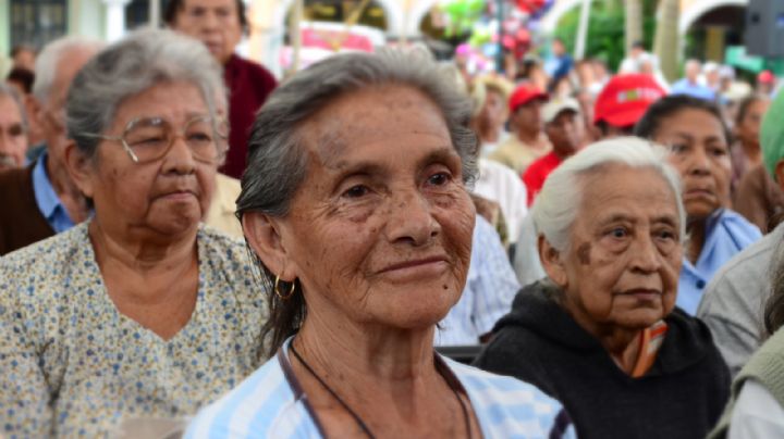 Mal inicio de la vacunación de Covid-19 a adultos mayores: Se cae portal para registrarlos