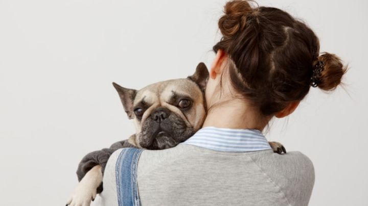 ¿Tu perro no va al baño? Estos fáciles remedios te ayudarán a aliviar su estreñimiento