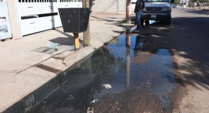 Situación insostenible: colapso de drenajes no cesa en Cajeme, a diario hay 30 más