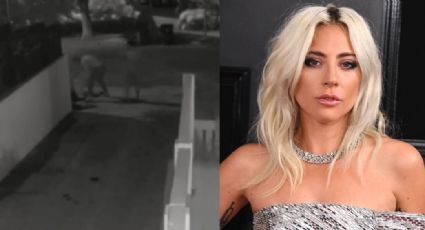 VIDEO: "Ayuda, estoy sangrando": Así fue el brutal asalto al paseador de perros de Lady Gaga