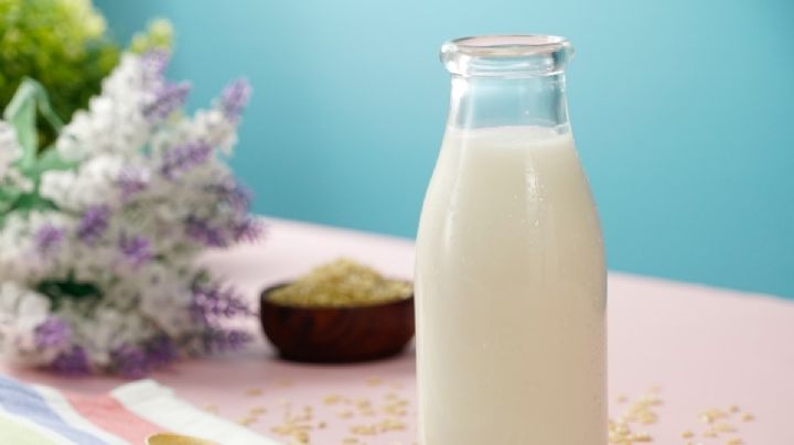 No dejes de disfrutar del rico sabor de la leche con esta versión hecha de arroz