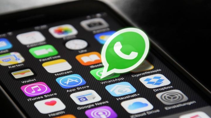 ¿Te robaron tu celular? Conoce cómo bloquear tu cuenta de WhatsApp desde tu ordenador