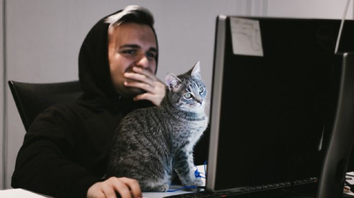 SAT: ¡Sin salir de casa! Estos son los trámites que puedes hacer desde Internet