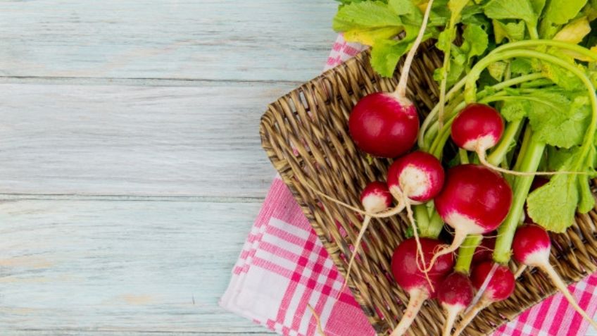 Es delicioso y le da un toque de sabor a tu pozole: Descubre los beneficios del rábano