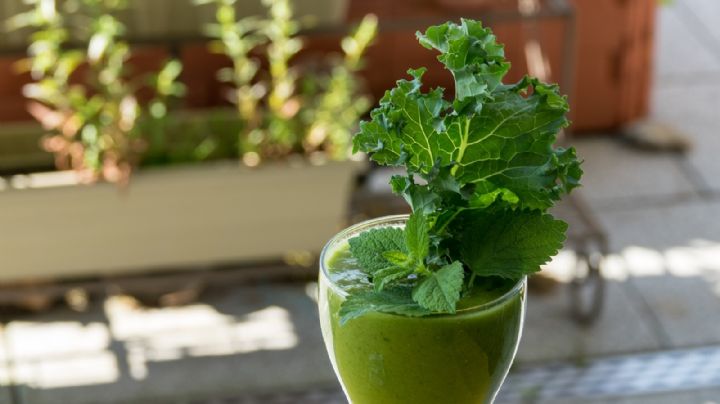 ¡Comienza una vida saludable! Este jugo verde incrementará tu ingesta de verdura